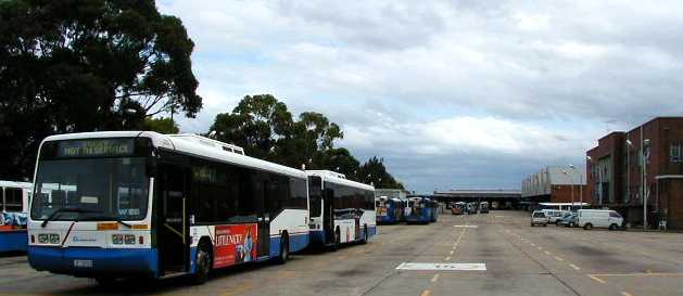 Scania L113CRL Ansair Orana at Bondi Junction